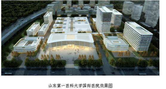 一批国资进军高端医疗！巨资新建大型国际医院”